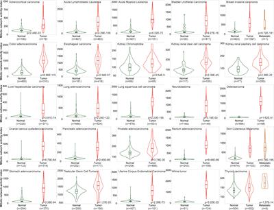 Pan-cancer evaluation of clinical value of mitotic network activity index (MNAI) and its predictive value for immunotherapy